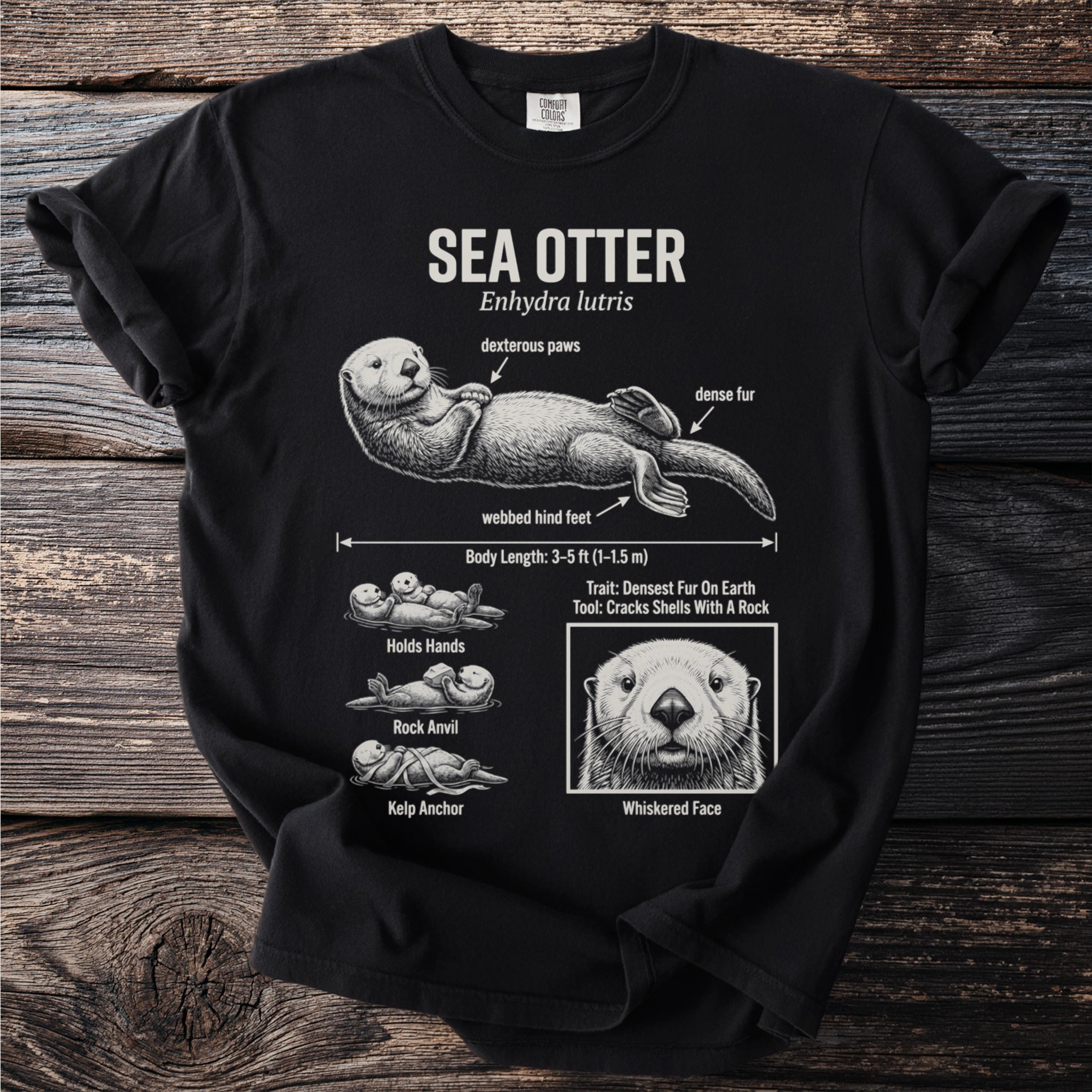 Black t-shirt graphic detailing sea otter anatomy and behaviors.