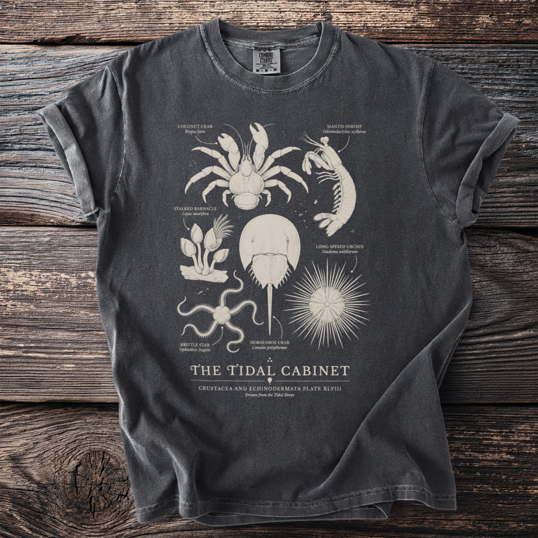 T-shirt with illustrations of a coconut crab, mantis shrimp, and horseshoe crab.