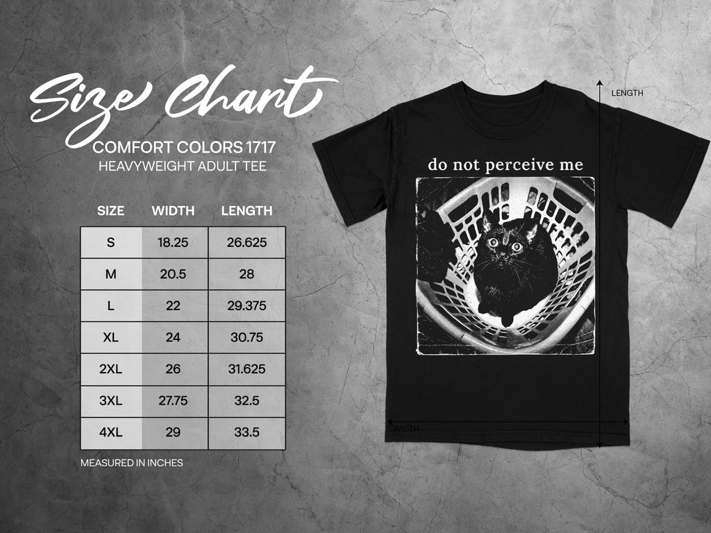 Comfort Colors 1717 garment size chart in inches.