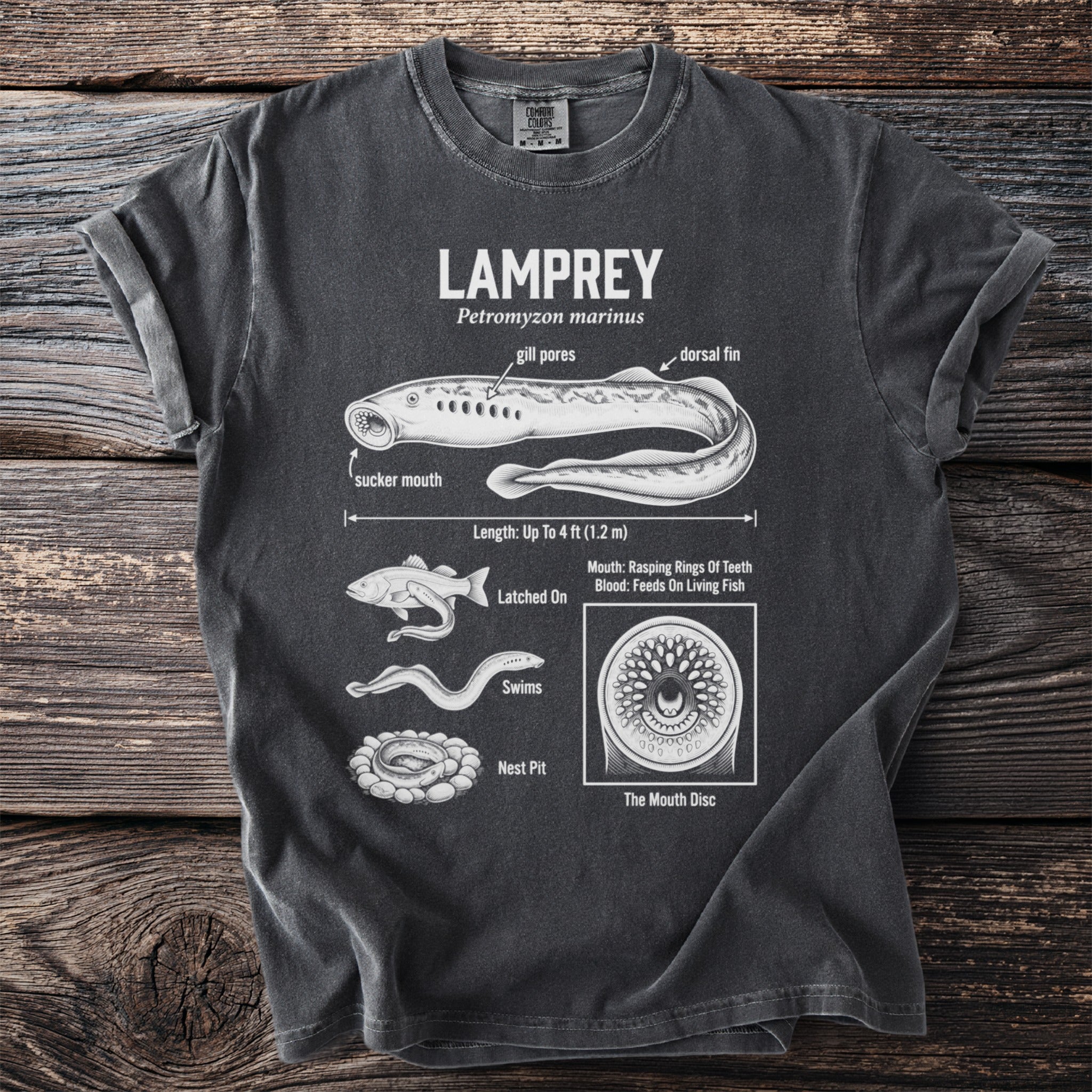 Dark t-shirt graphic of a lamprey with labeled anatomy and details about its mouth and feeding habits.
