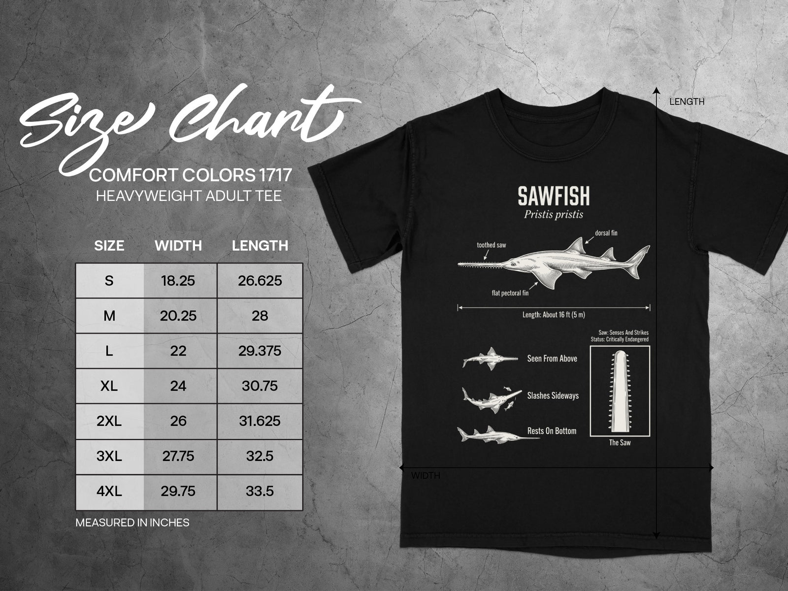 Comfort Colors 1717 heavyweight adult tee size chart with sawfish graphic.