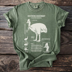 Green t-shirt with Southern Cassowary anatomical illustration and facts.
