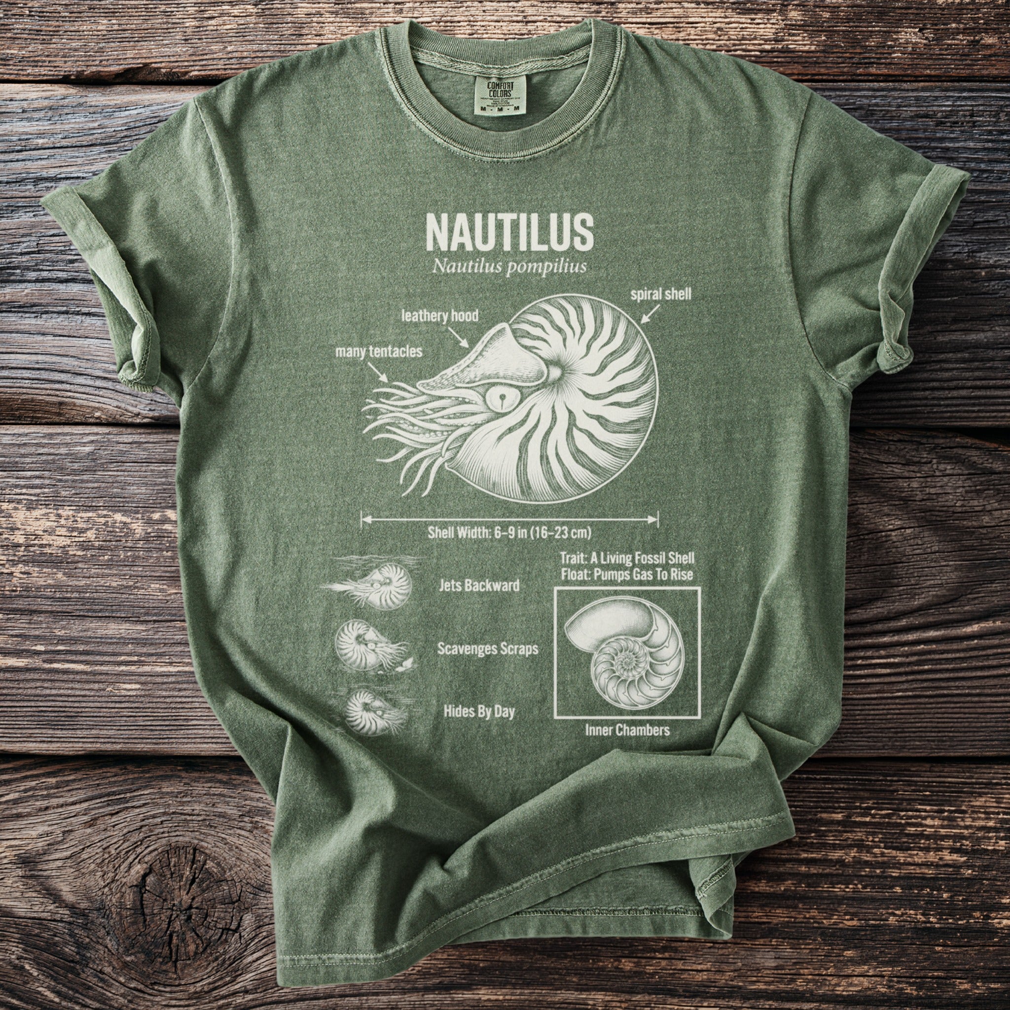 Green t-shirt with Nautilus diagram, labeling shell, tentacles, and behaviors.