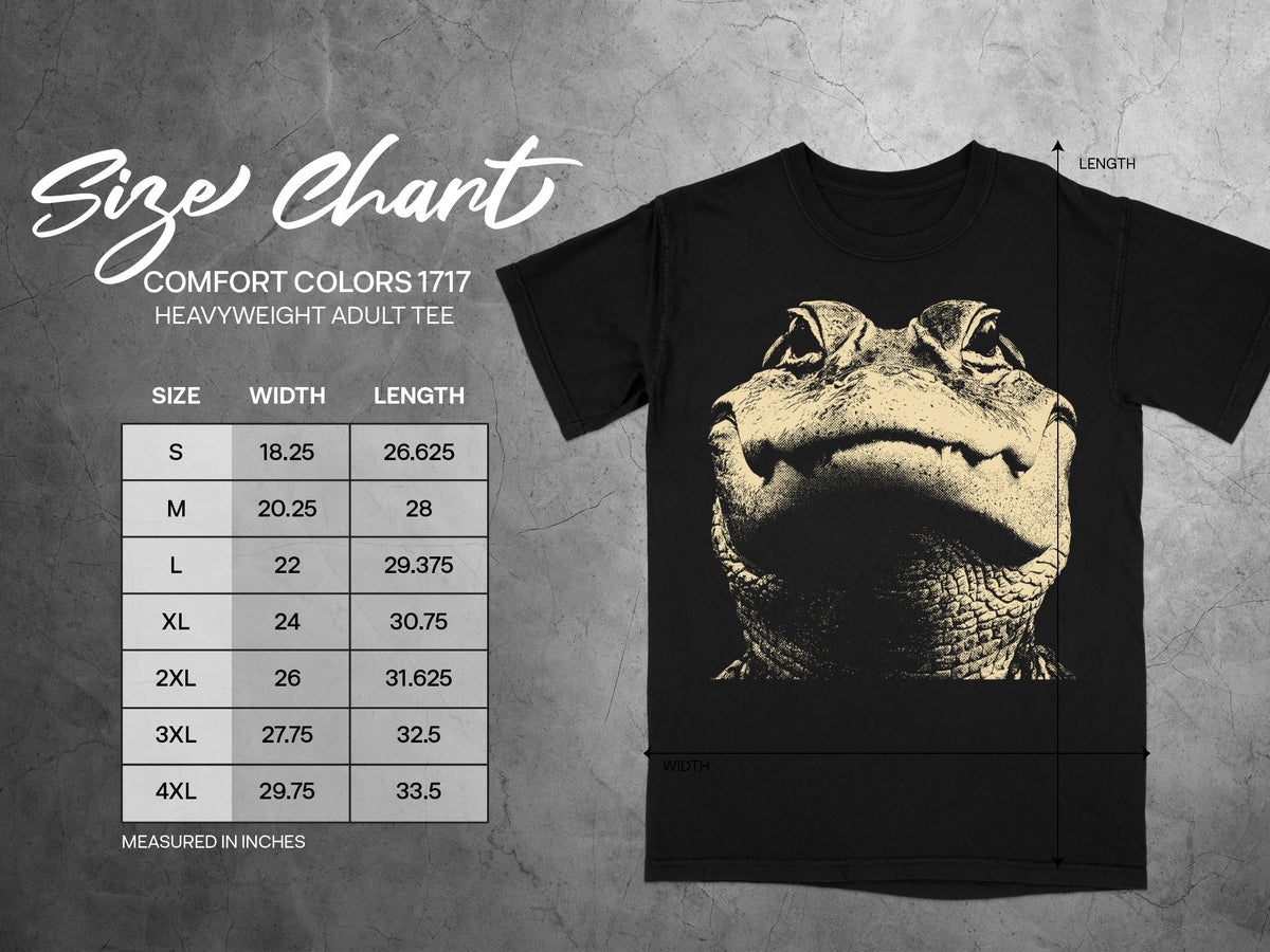 Comfort Colors 1717 adult tee size chart with width and length measurements in inches.