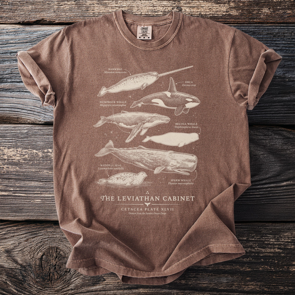 Brown t-shirt print featuring detailed illustrations of marine animals and text "The Leviathan Cabinet".