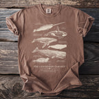 Brown t-shirt print featuring detailed illustrations of marine animals and text "The Leviathan Cabinet".