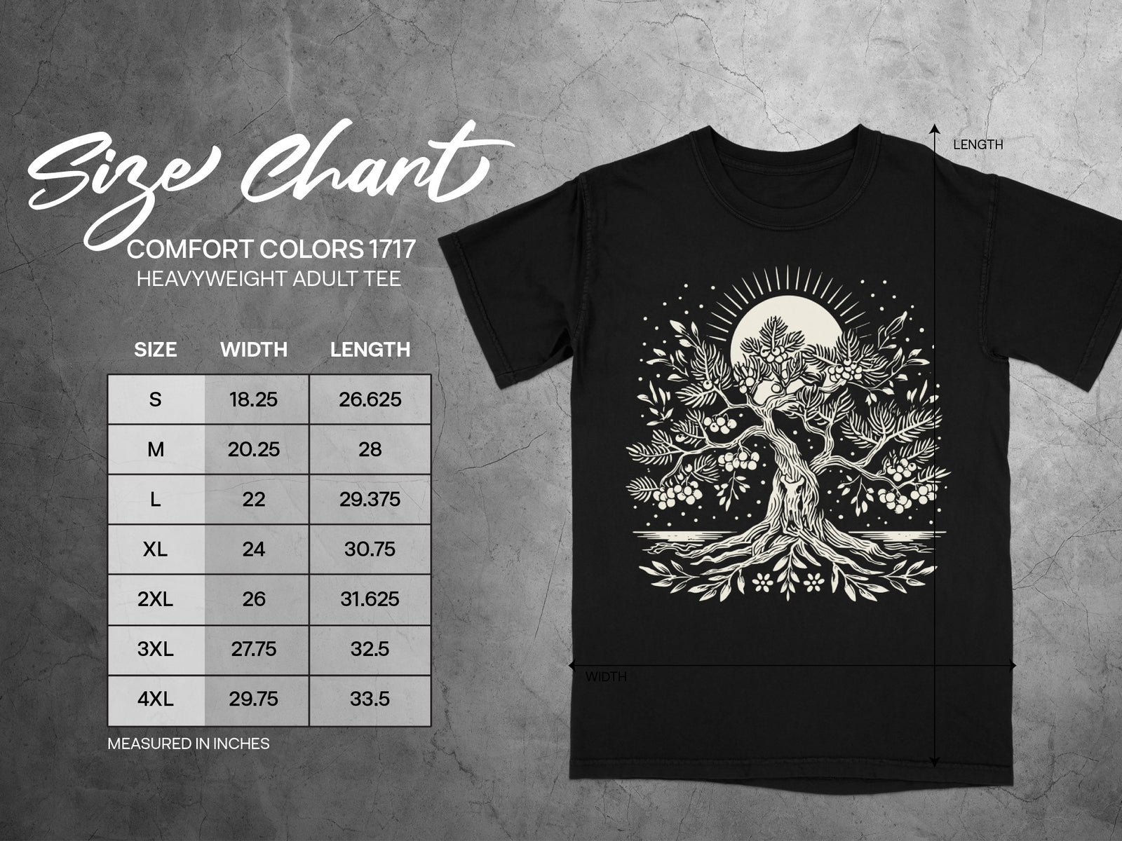 Comfort Colors 1717 heavyweight adult tee size chart with width and length measurements in inches.