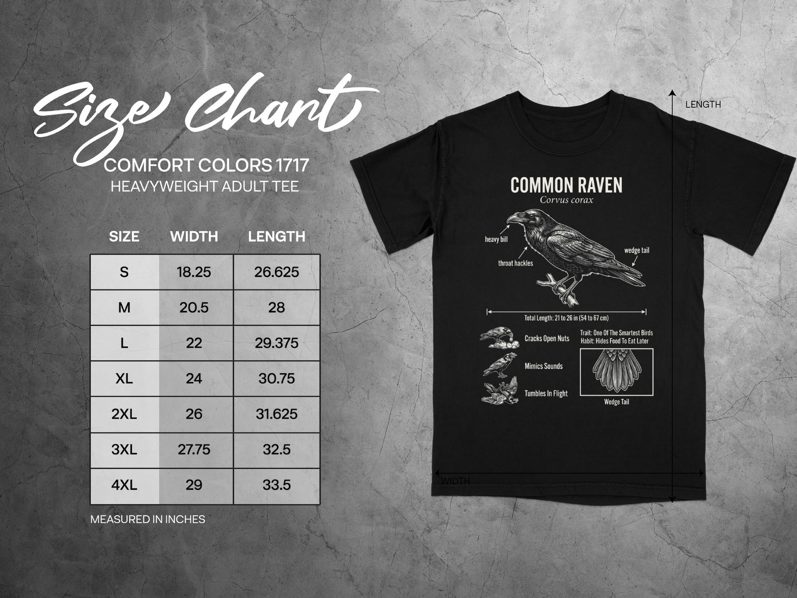 Comfort Colors 1717 garment size chart in inches.