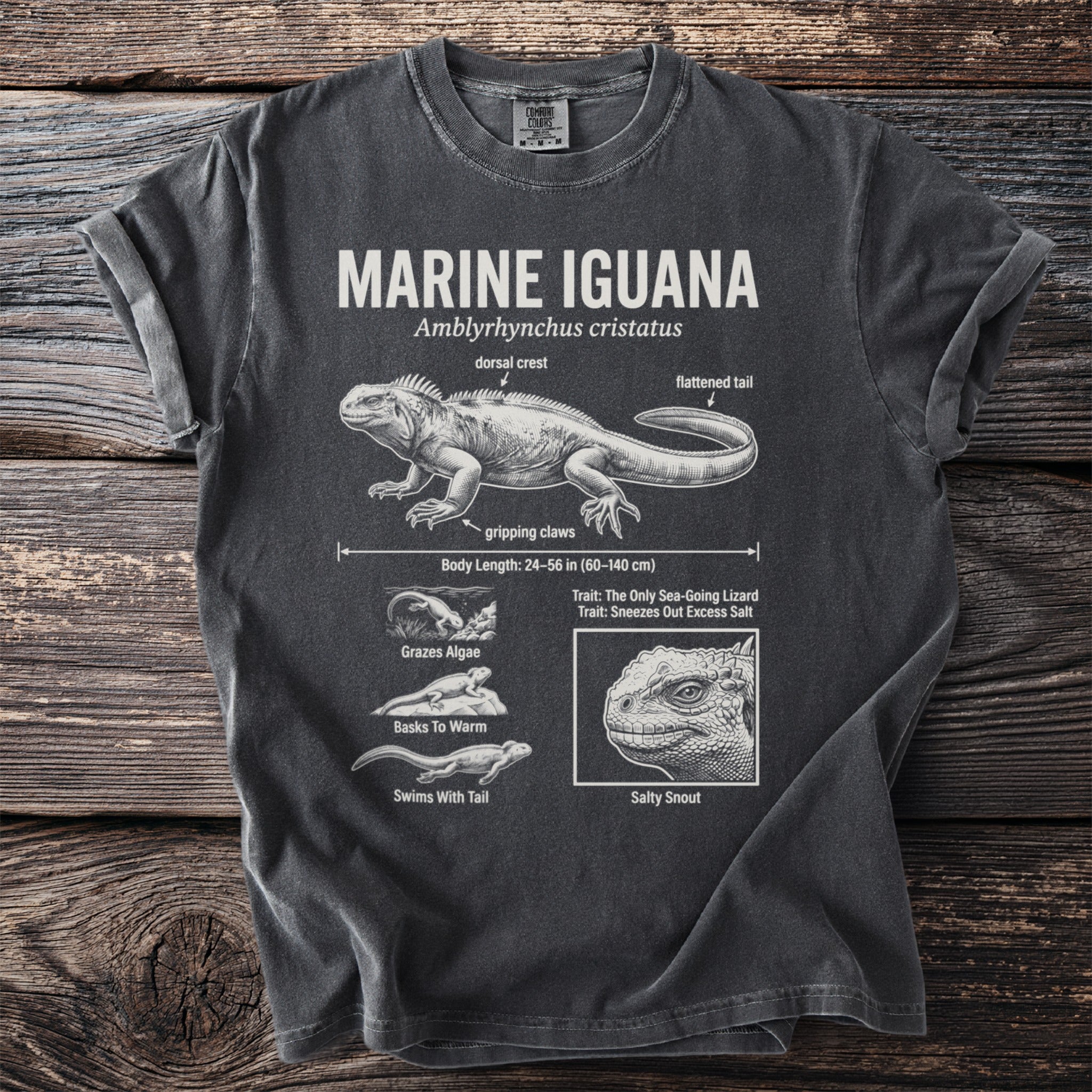 Dark t-shirt with "Marine Iguana" graphic detailing its anatomy and behaviors.