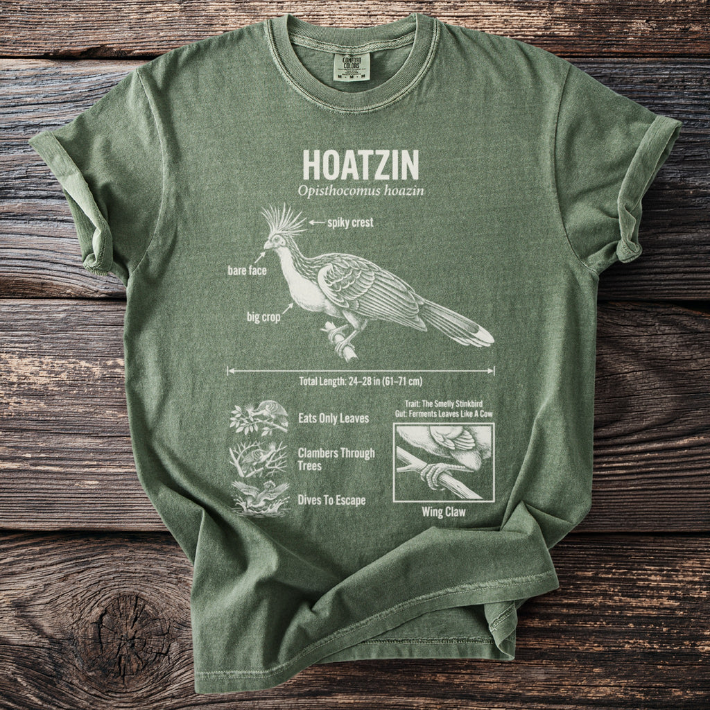 Green t-shirt with a Hoatzin bird illustration and fact labels.