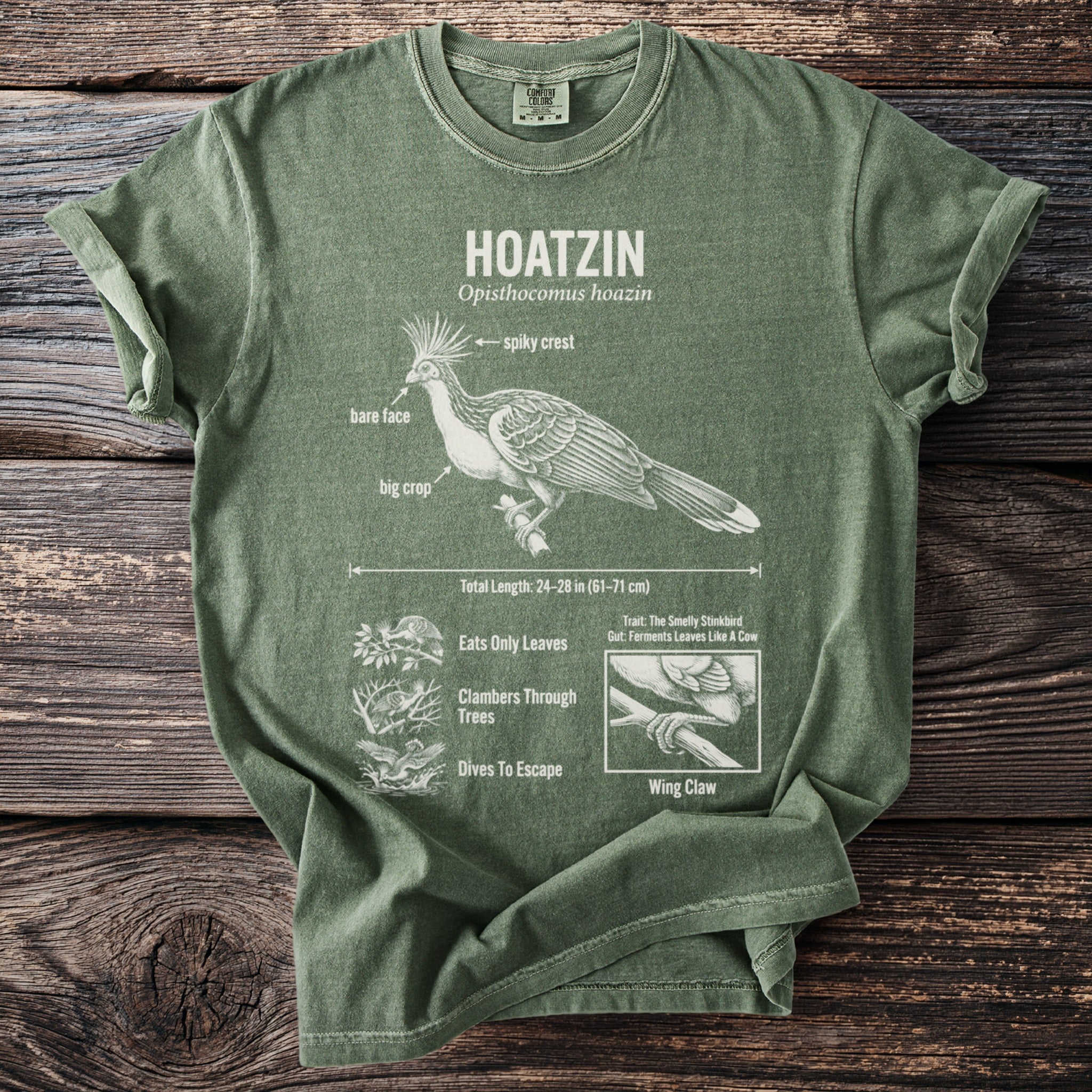 Green t-shirt with a Hoatzin bird illustration and fact labels.