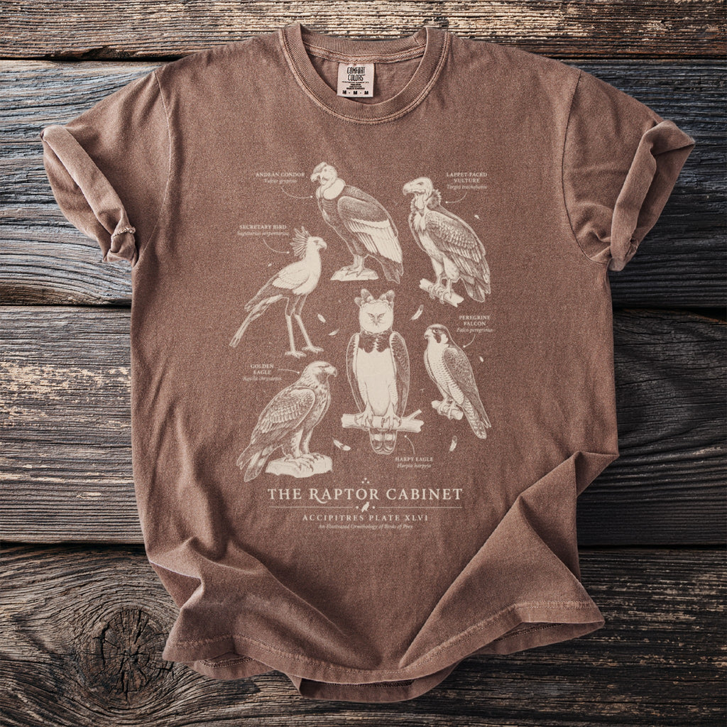 Brown t-shirt print of "The Raptor Cabinet" featuring seven birds of prey.