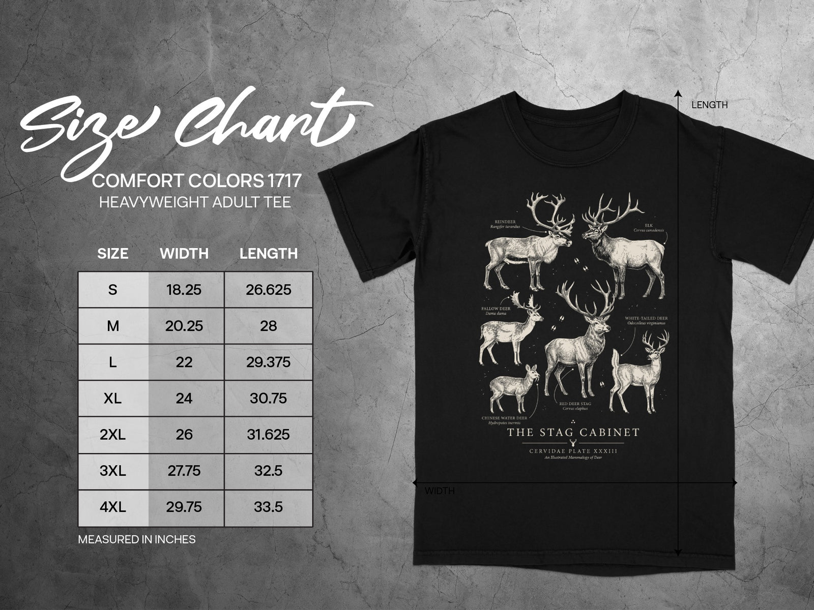Comfort Colors 1717 size chart with illustrations of various deer species.