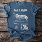 T-shirt with a diagram of a mantis shrimp labeled with its scientific name and features.