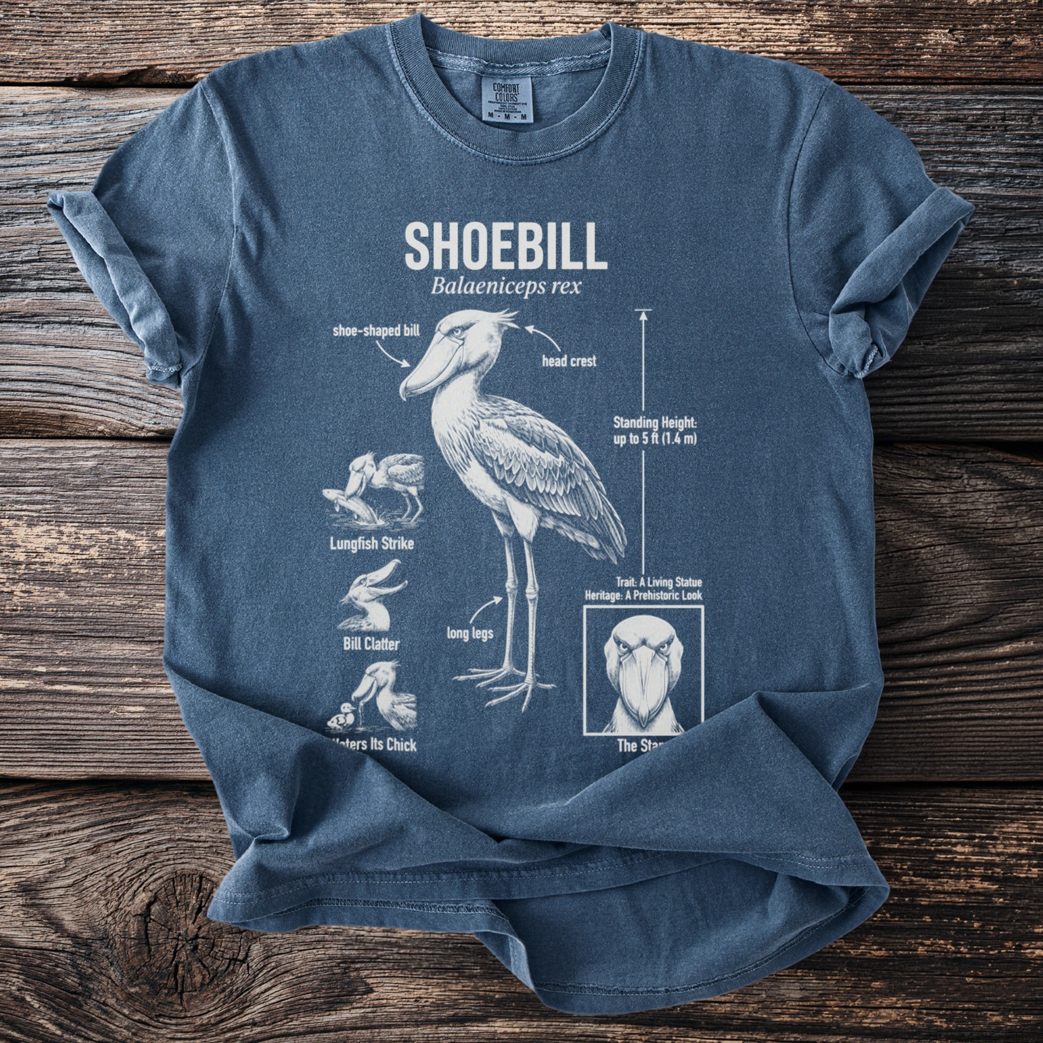 Blue t-shirt with a Shoebill diagram, labels, and illustrations of its behavior.