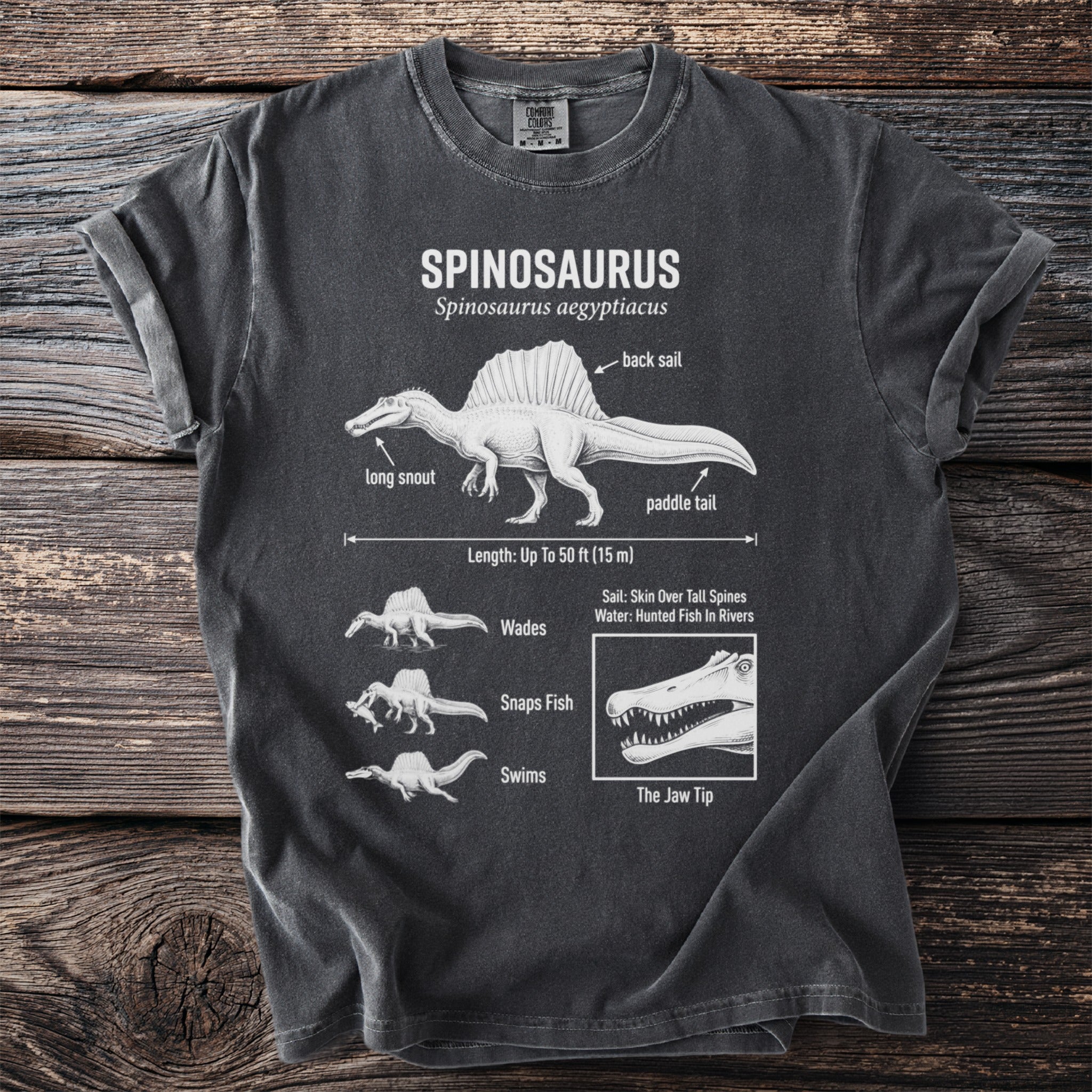 Spinosaurus dinosaur with labeled anatomy including sail, long snout, and paddle tail.