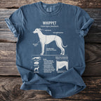 T-shirt with whippet dog anatomy diagram and characteristics.