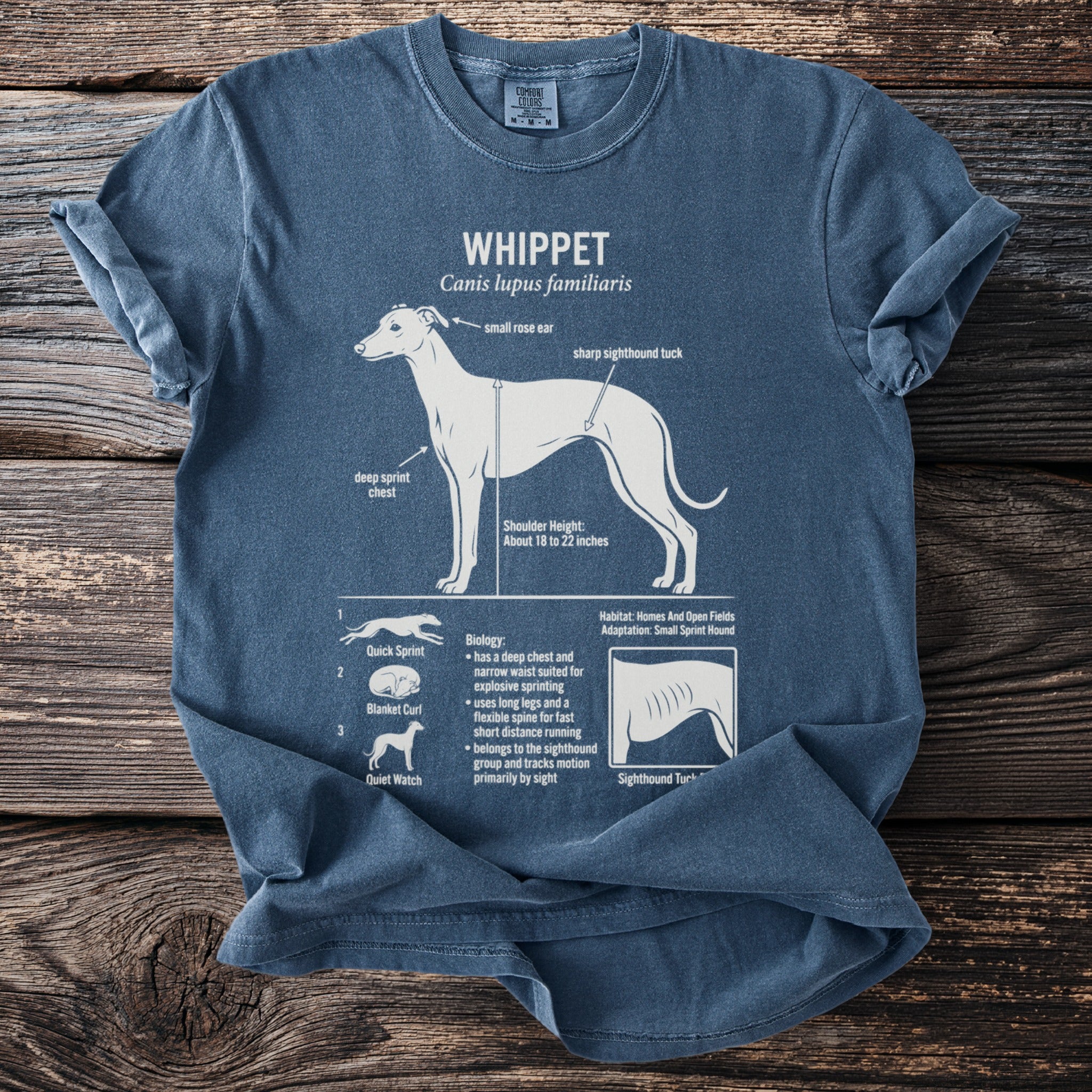 T-shirt with whippet dog anatomy diagram and characteristics.