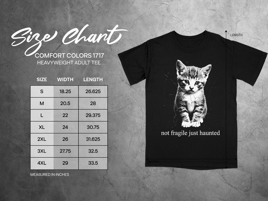 Black t-shirt with kitten graphic and "not fragile just haunted" text. Size chart included.