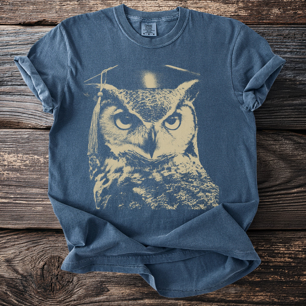 Blue t-shirt with a faded beige graphic of an owl wearing a graduation cap.