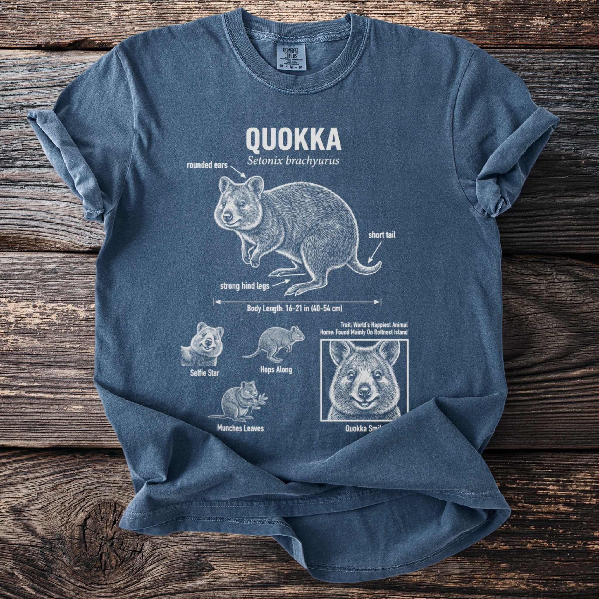 Blue t-shirt with white graphic of a quokka and its anatomy and behaviors.