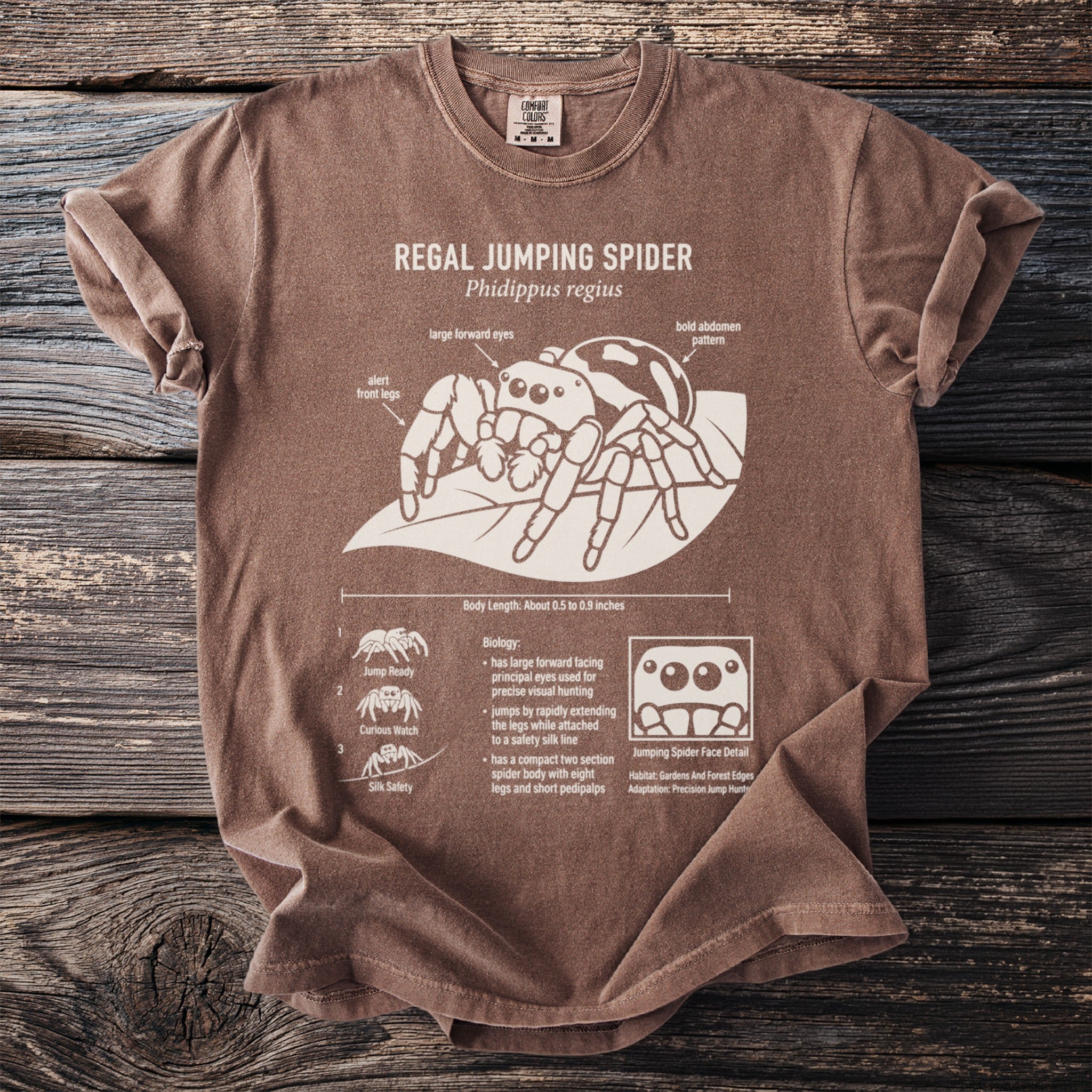 Brown t-shirt with white graphic of Regal Jumping Spider, called Phidippus regius.