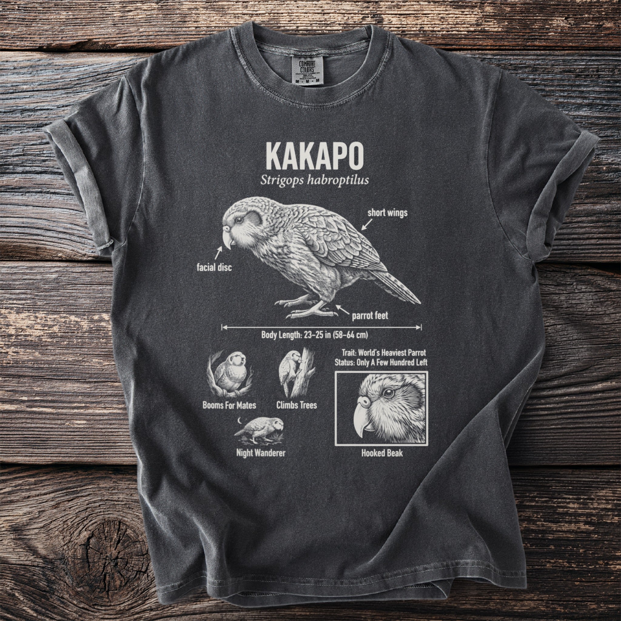 Kakapo parrot illustration with scientific name, features, and text.