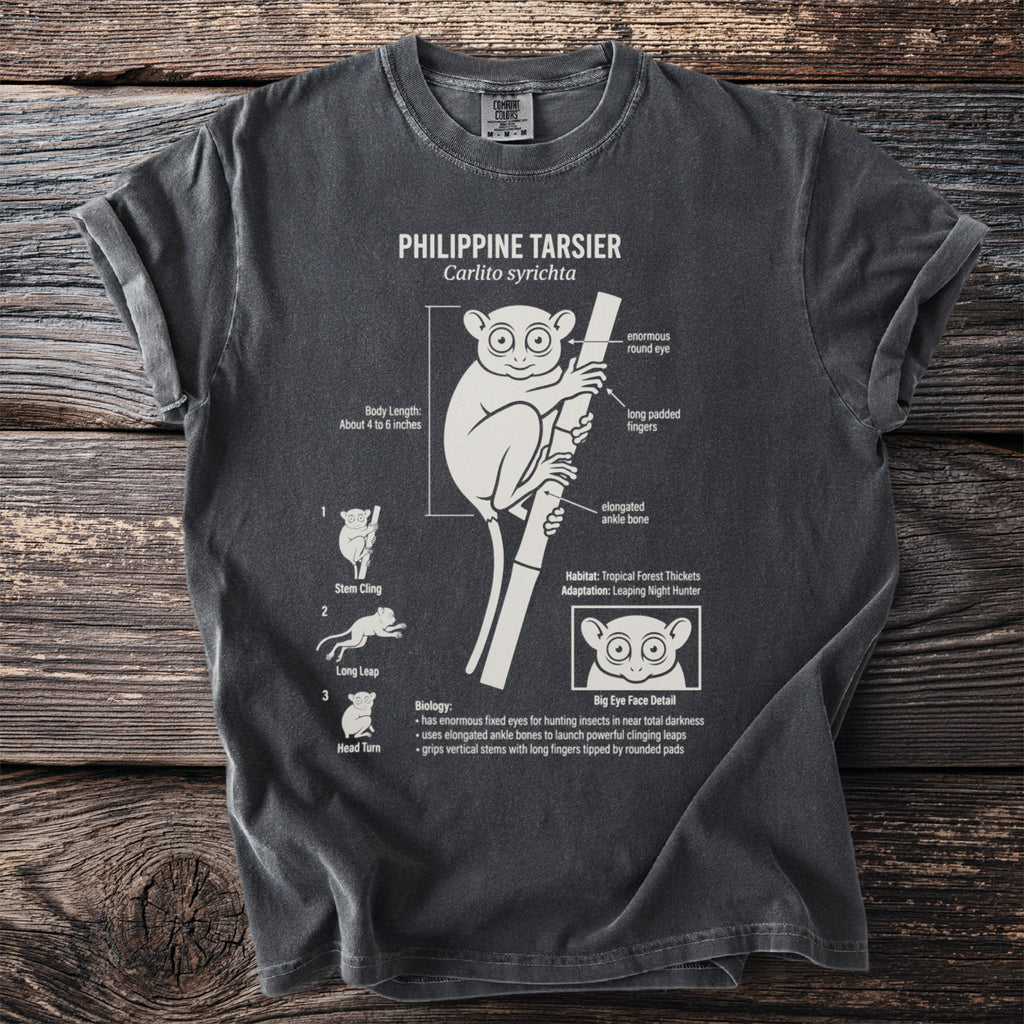 Philippine Tarsier illustration with biology facts, body length, and adaptations.