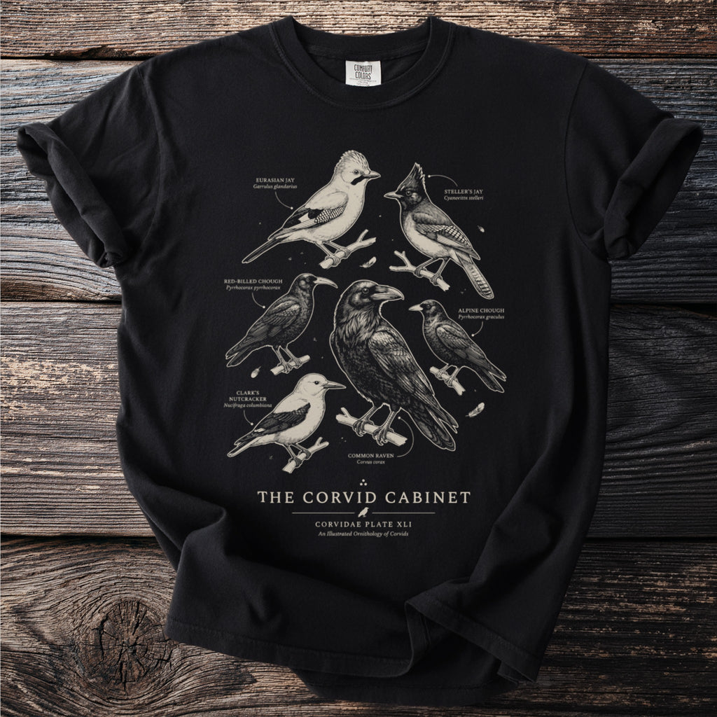 Black t-shirt with line drawings of six corvid birds: Eurasian, Steller's Jays, Red-billed and Alpine Choughs, Clark's Nutcracker, and Common Raven.