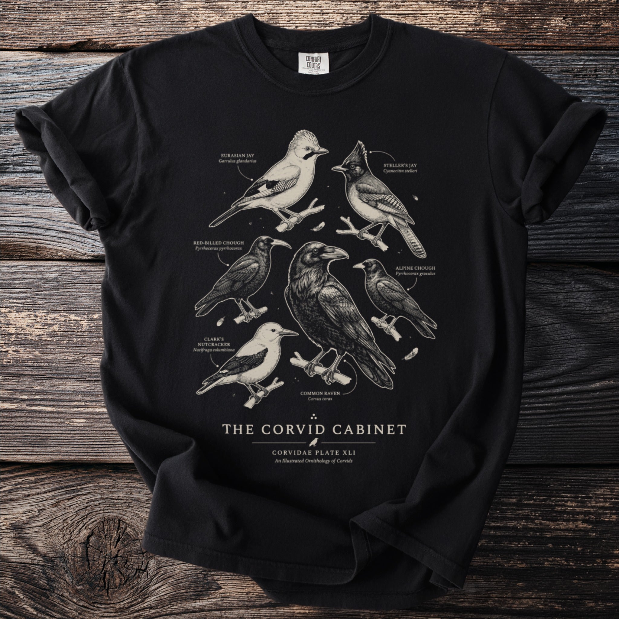 Black t-shirt with line drawings of six corvid birds: Eurasian, Steller's Jays, Red-billed and Alpine Choughs, Clark's Nutcracker, and Common Raven.