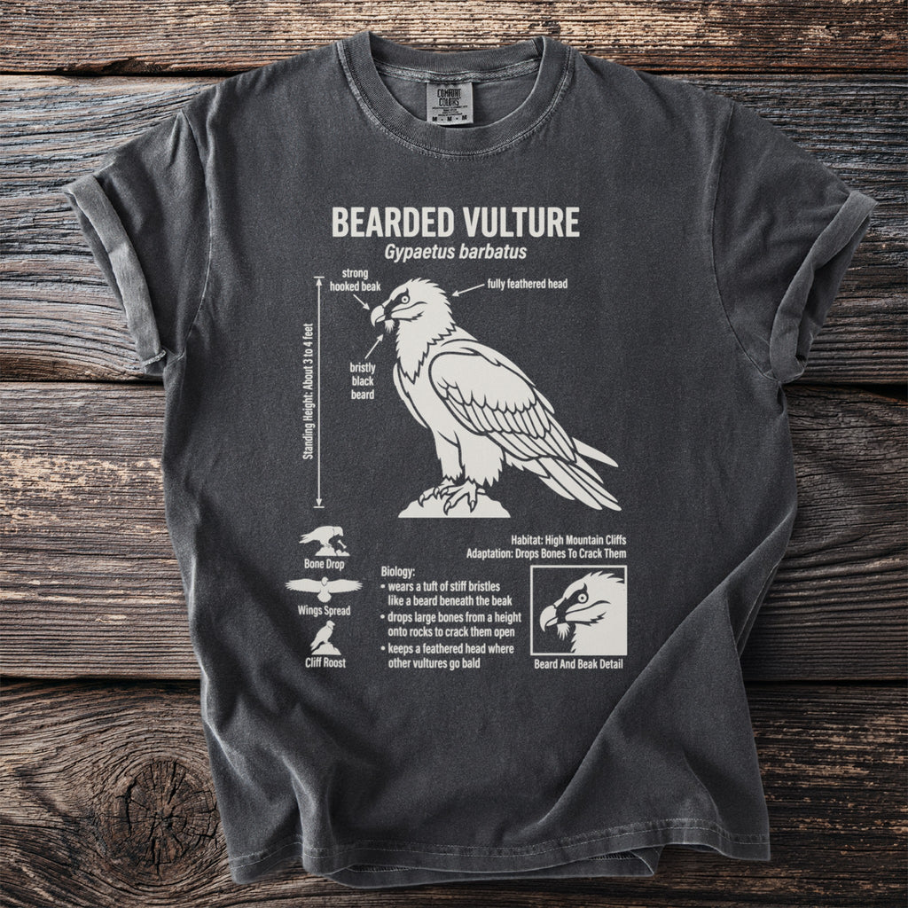 Bearded Vulture science illustration on a charcoal t-shirt with detailed biological facts.