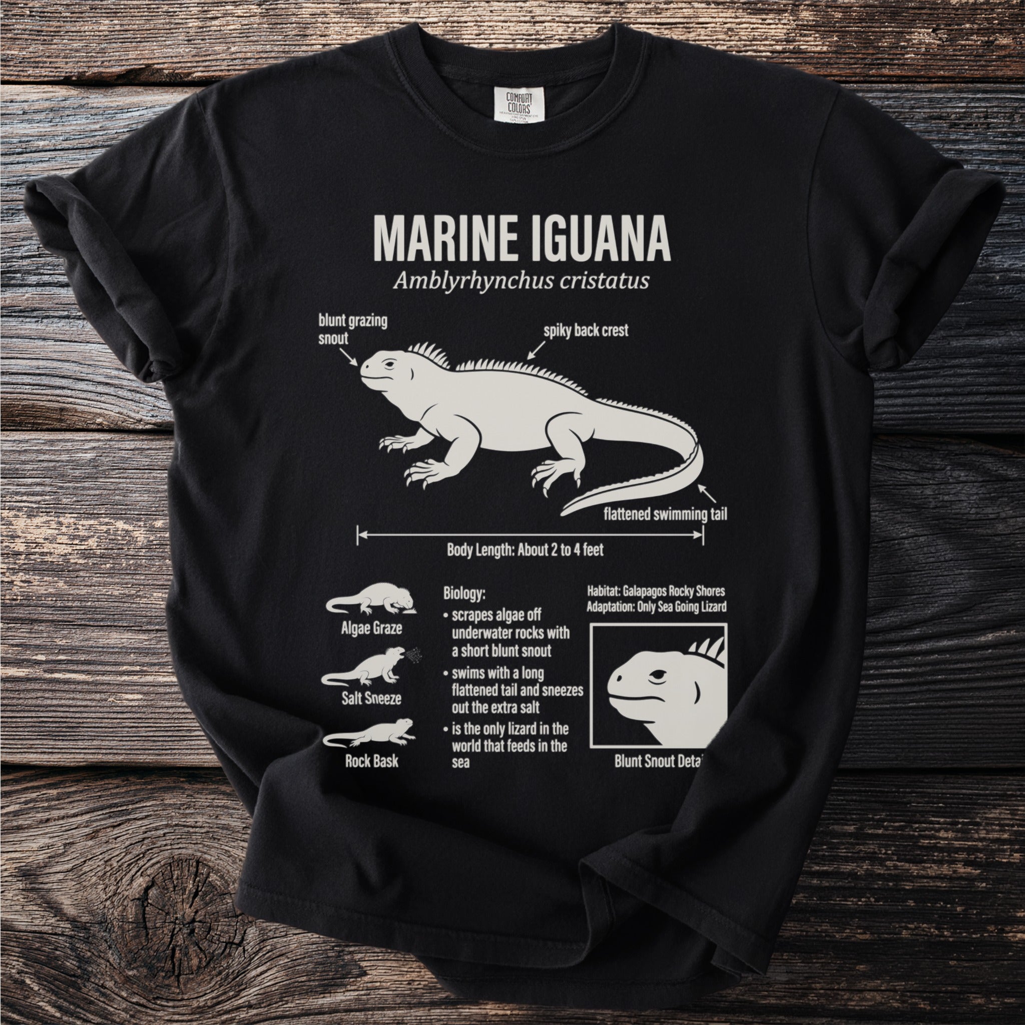 Black t-shirt with Marine Iguana illustration and biological facts.