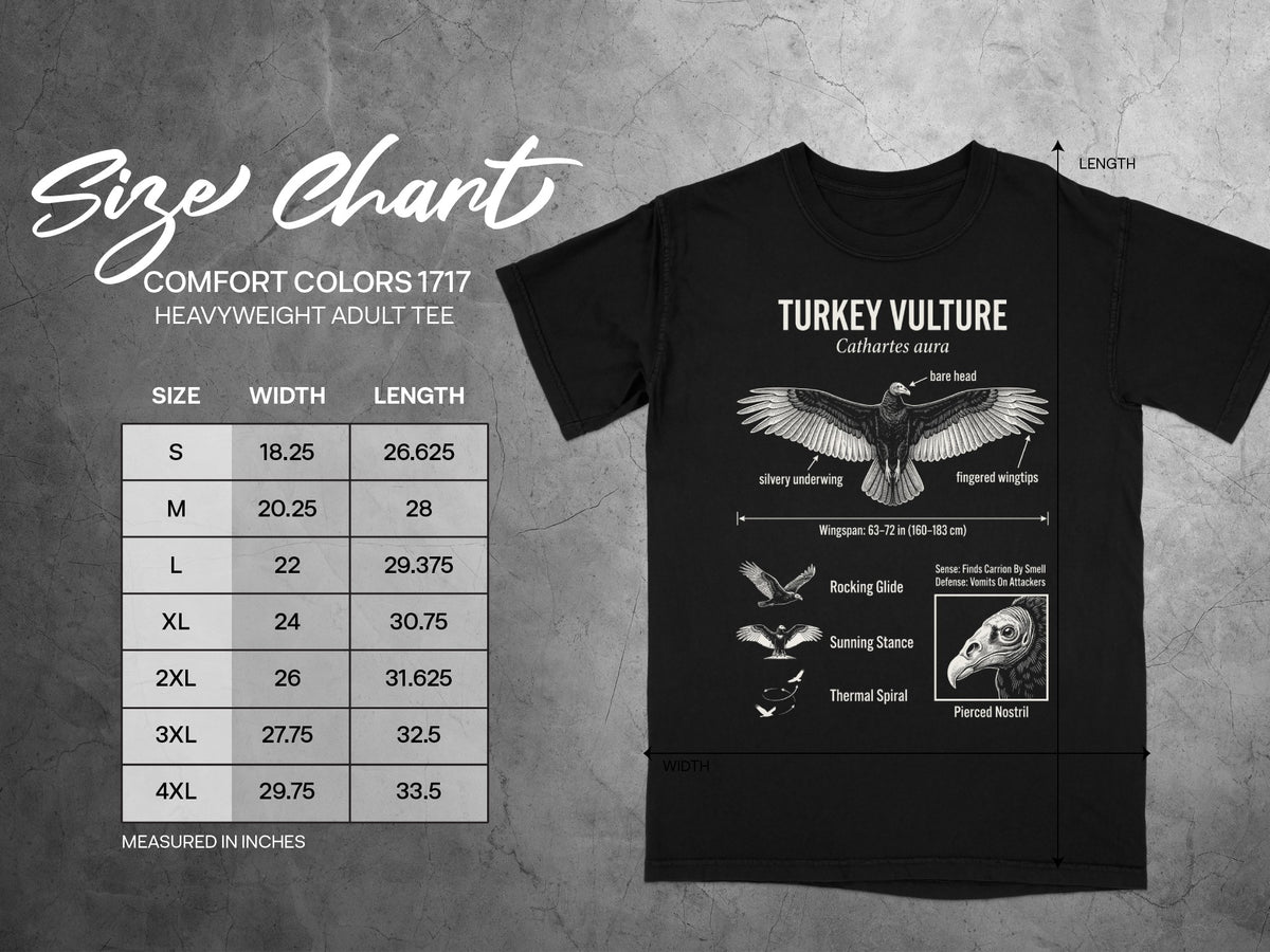 Turkey Vulture t-shirt size chart with details on wingspan and anatomy.
