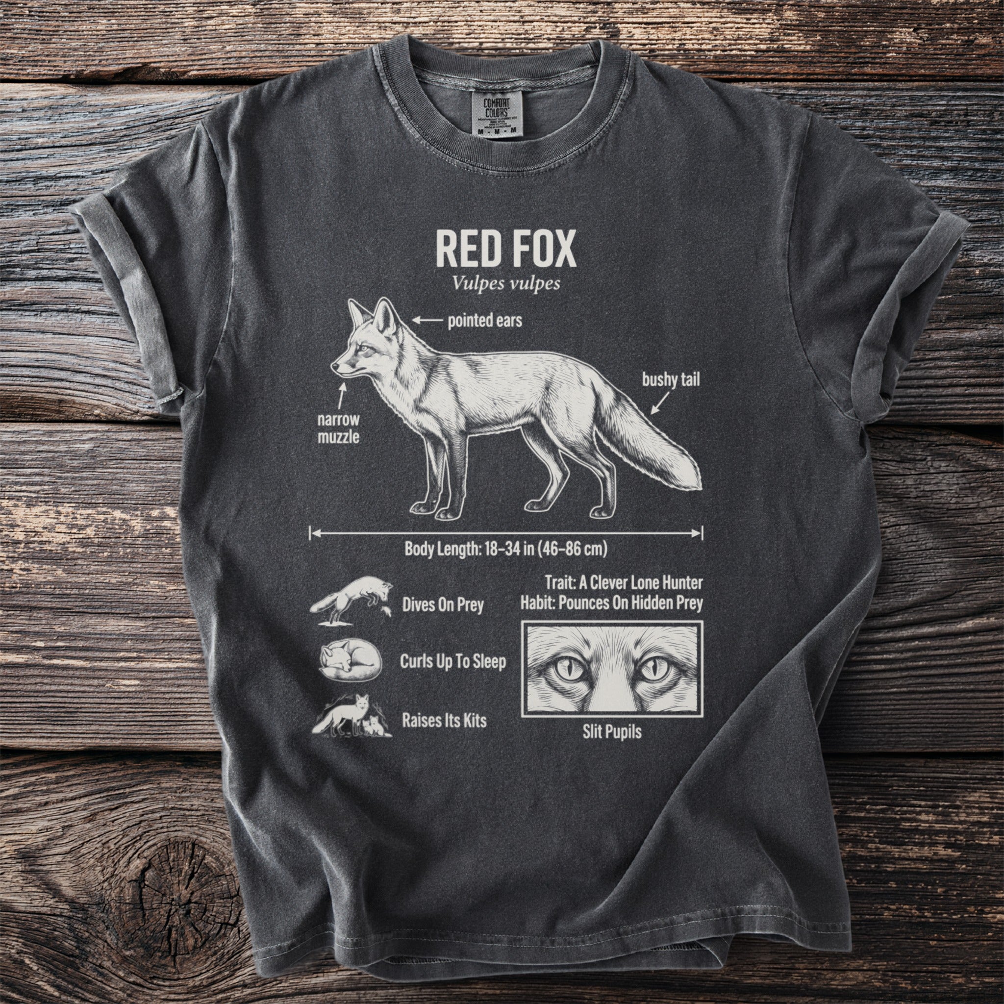 Dark grey t-shirt with a white illustration of a red fox with labeled anatomical features.