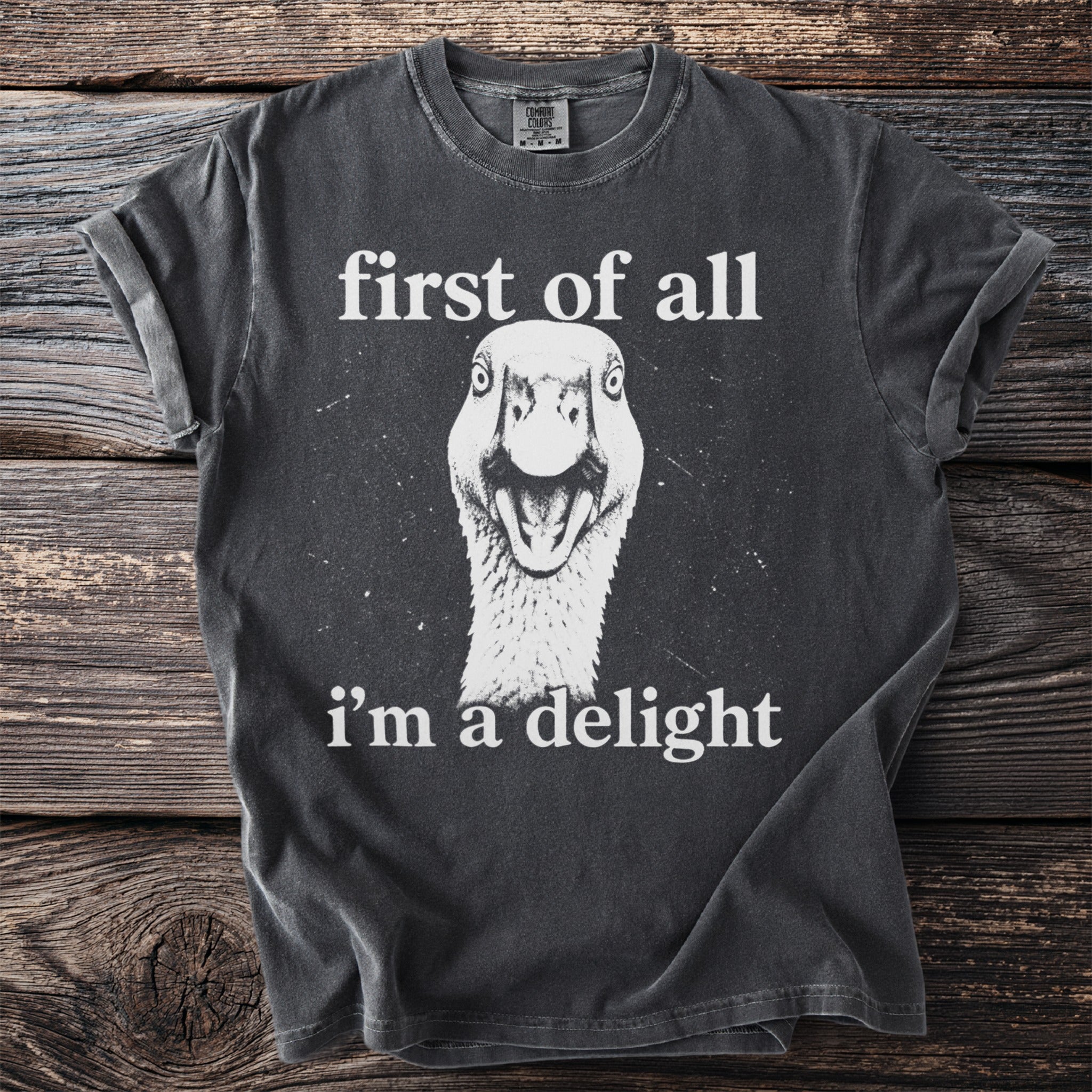 Dark gray t-shirt with a goose face and text "first of all i'm a delight".