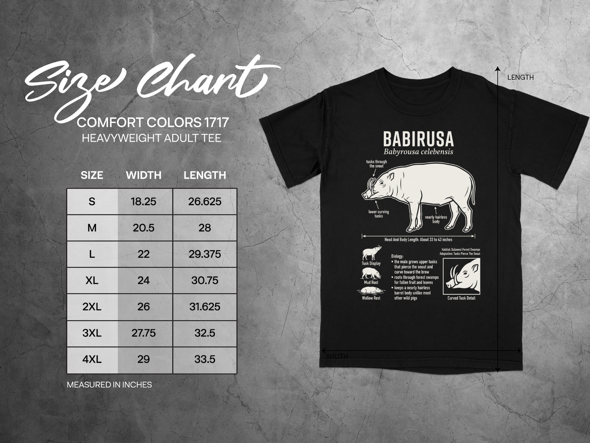 Babirusa size chart for Comfort Colors 1717 heavyweight adult tee.