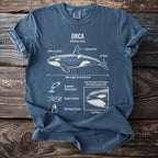 Blue t-shirt with orca diagram and facts, including anatomical labels and behaviors.