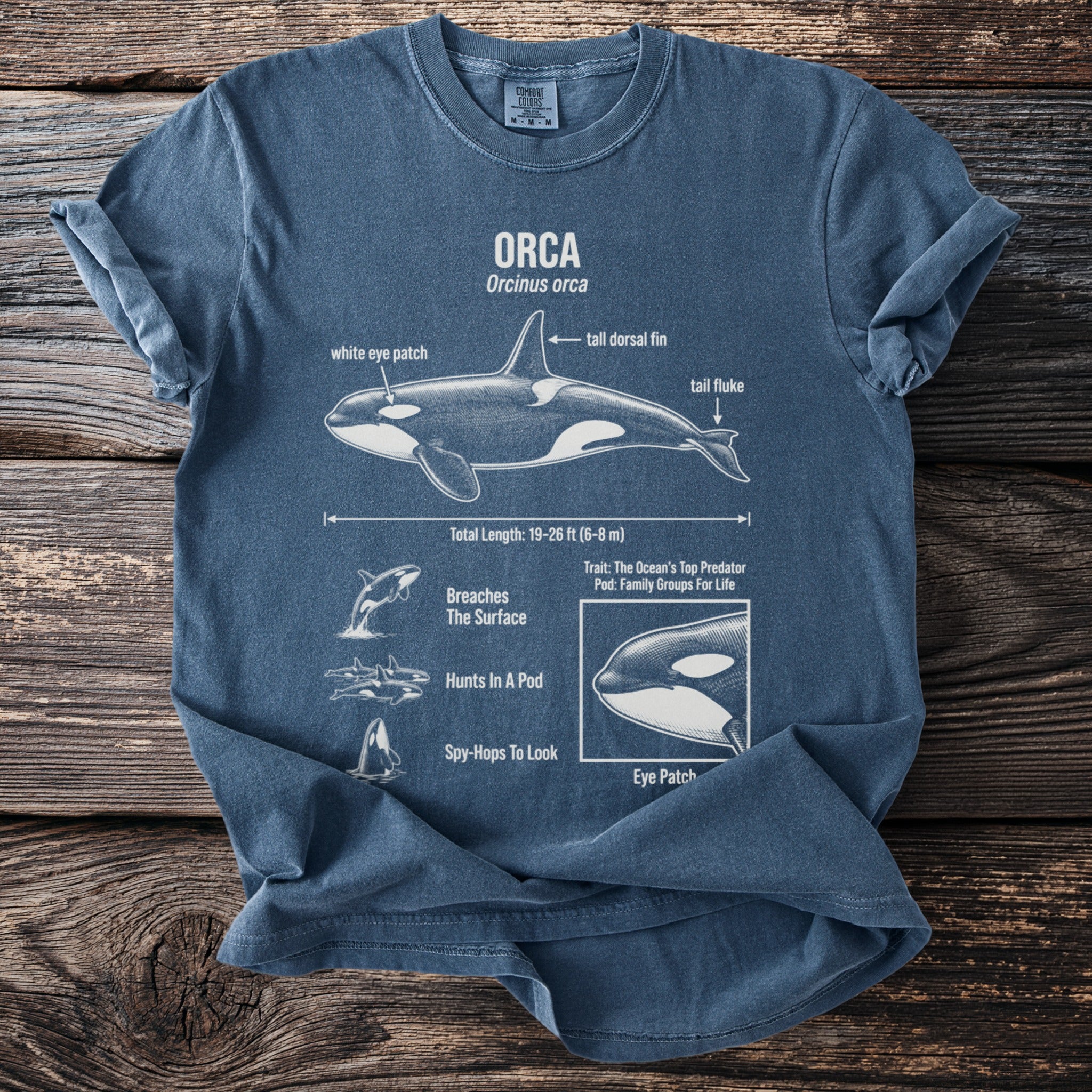 Blue t-shirt with orca diagram and facts, including anatomical labels and behaviors.