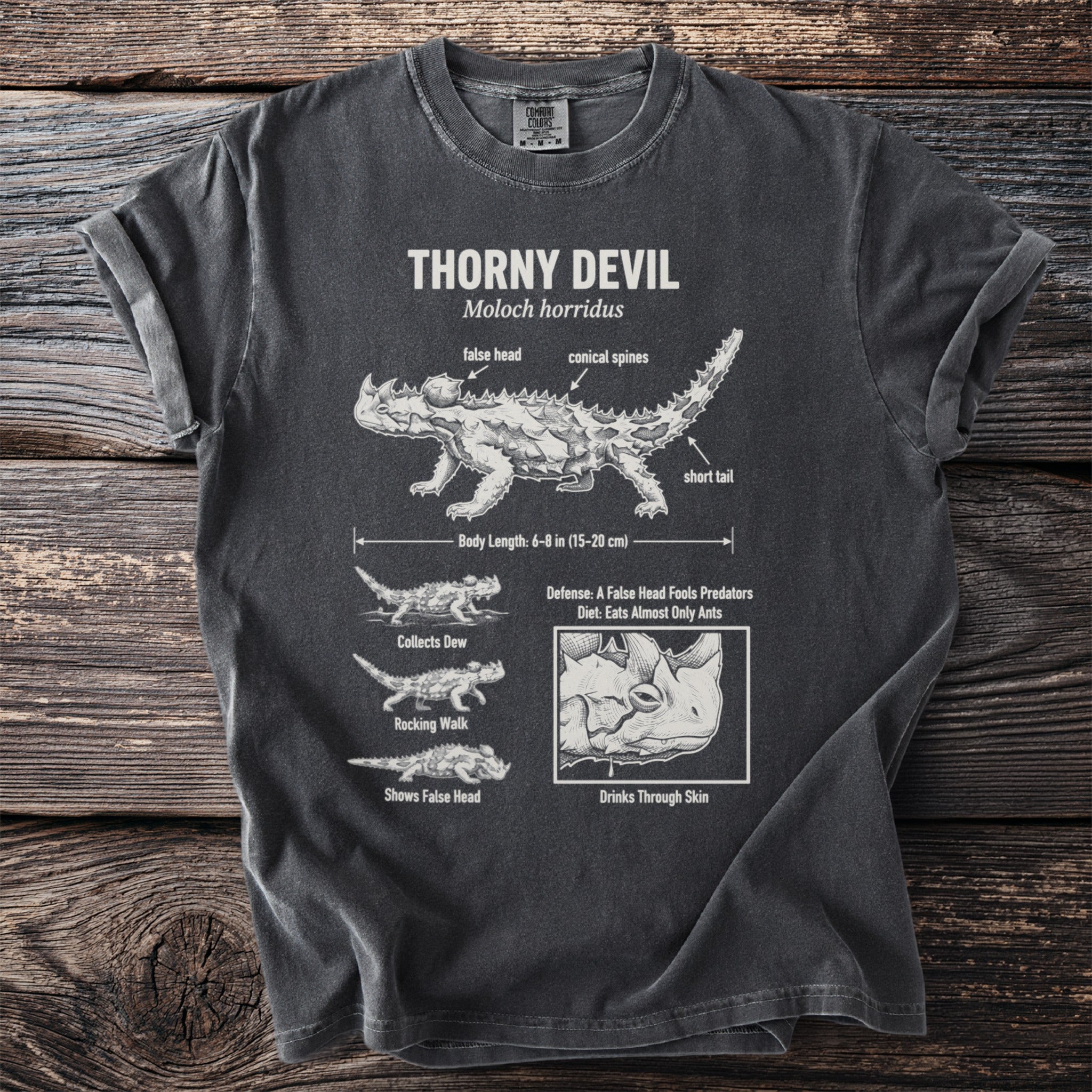 Thorny Devil t-shirt with scientific illustration and facts about Moloch horridus.