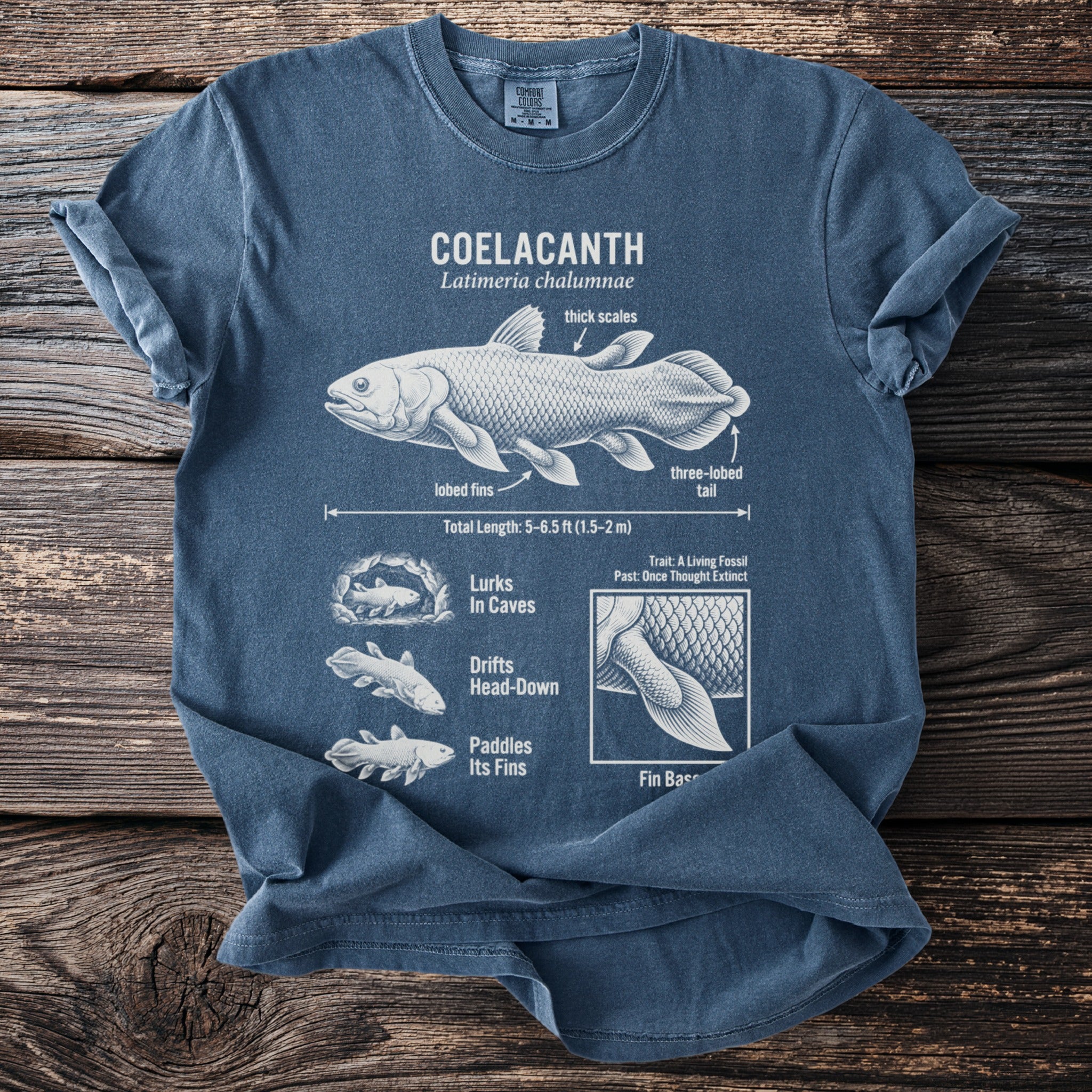 Blue t-shirt with a Coelacanth diagram, including its scientific name and measurements.