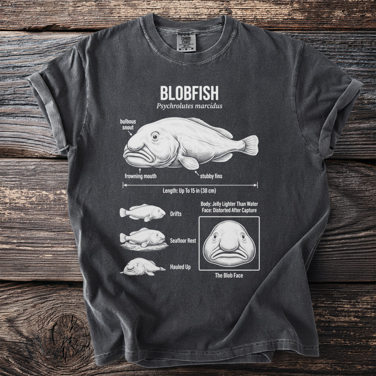 Blobfish diagram on dark t-shirt showing features, length, and three poses.