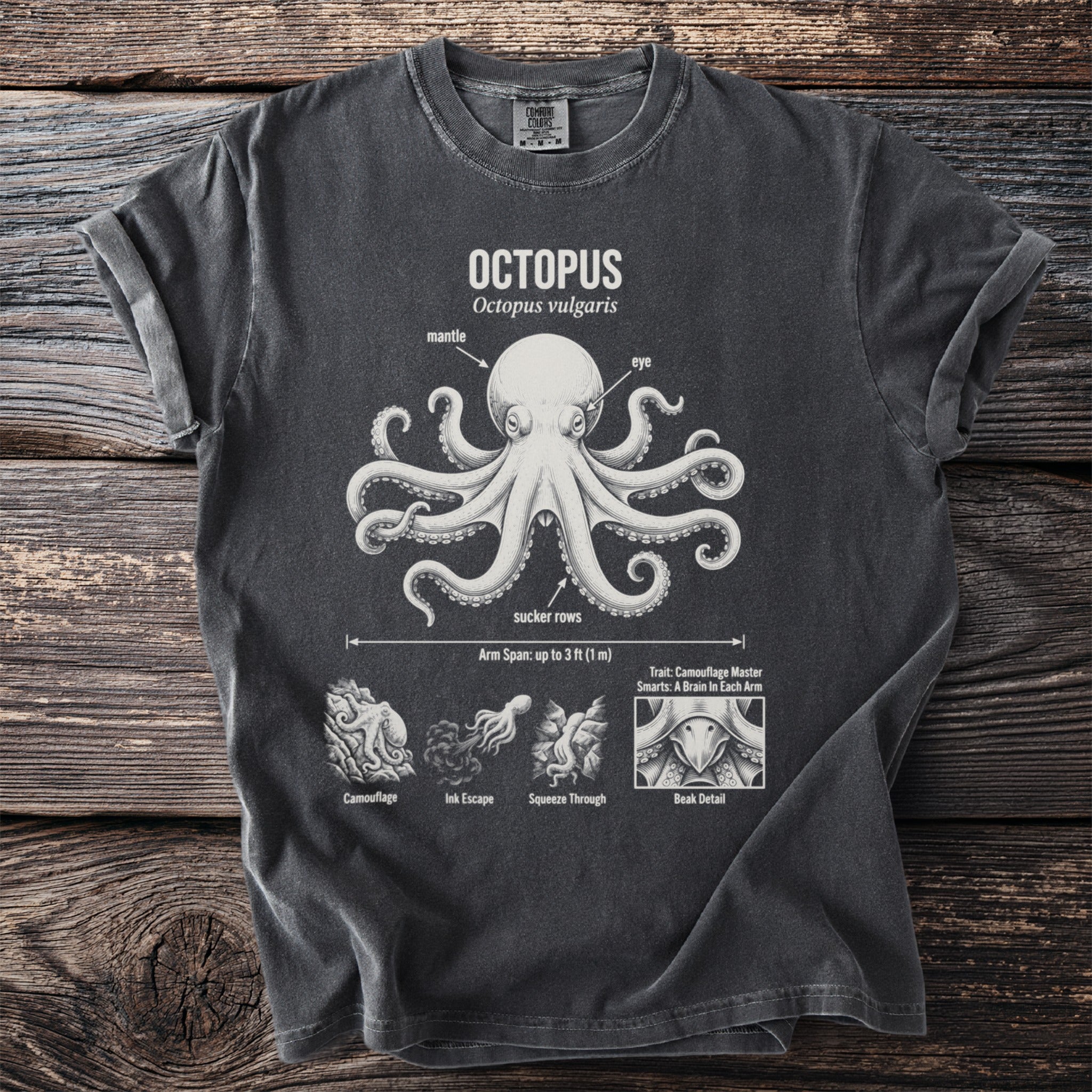 Dark grey t-shirt with an anatomical illustration of an octopus.