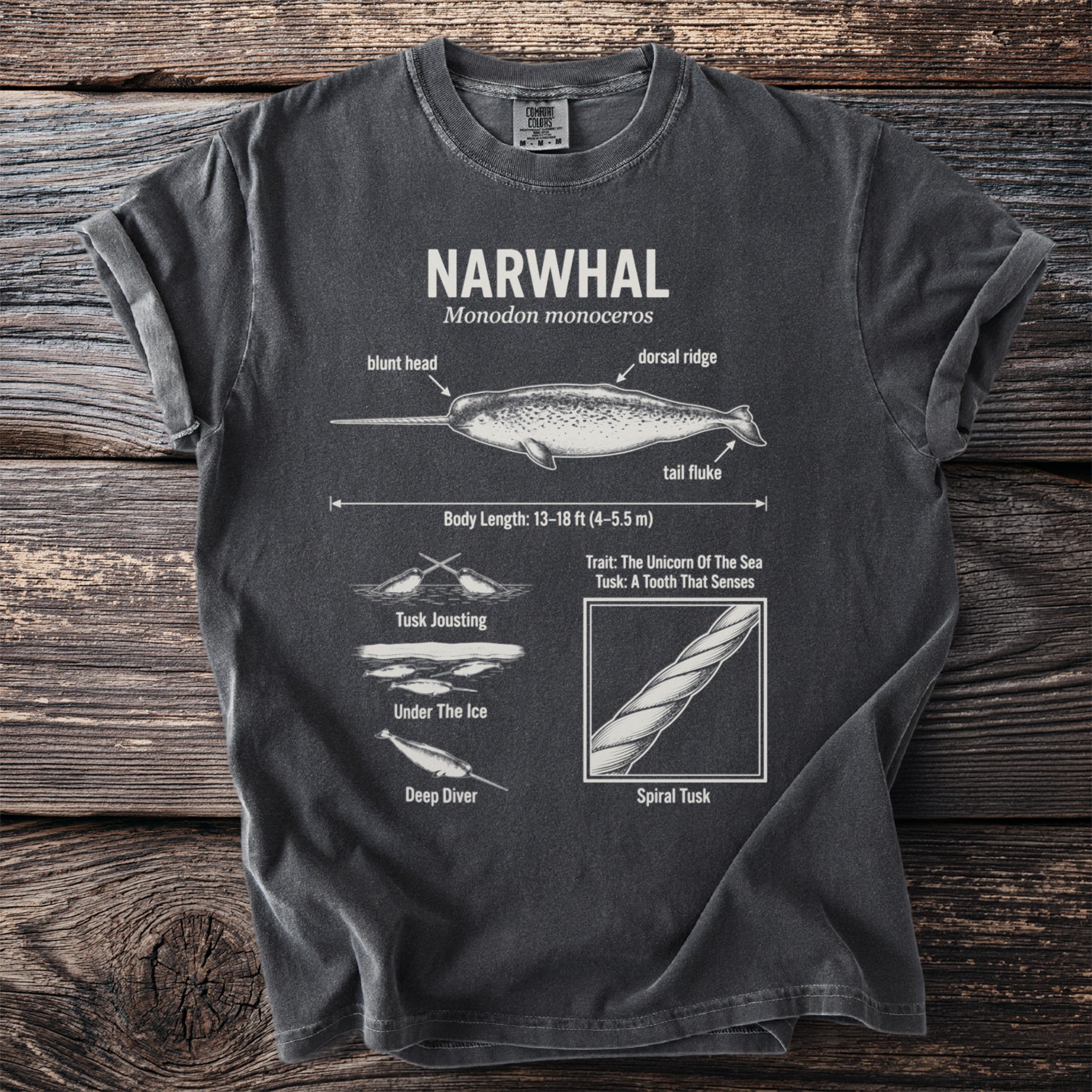 T-shirt with detailed narwhal anatomy diagram, including body length and tusk illustration.