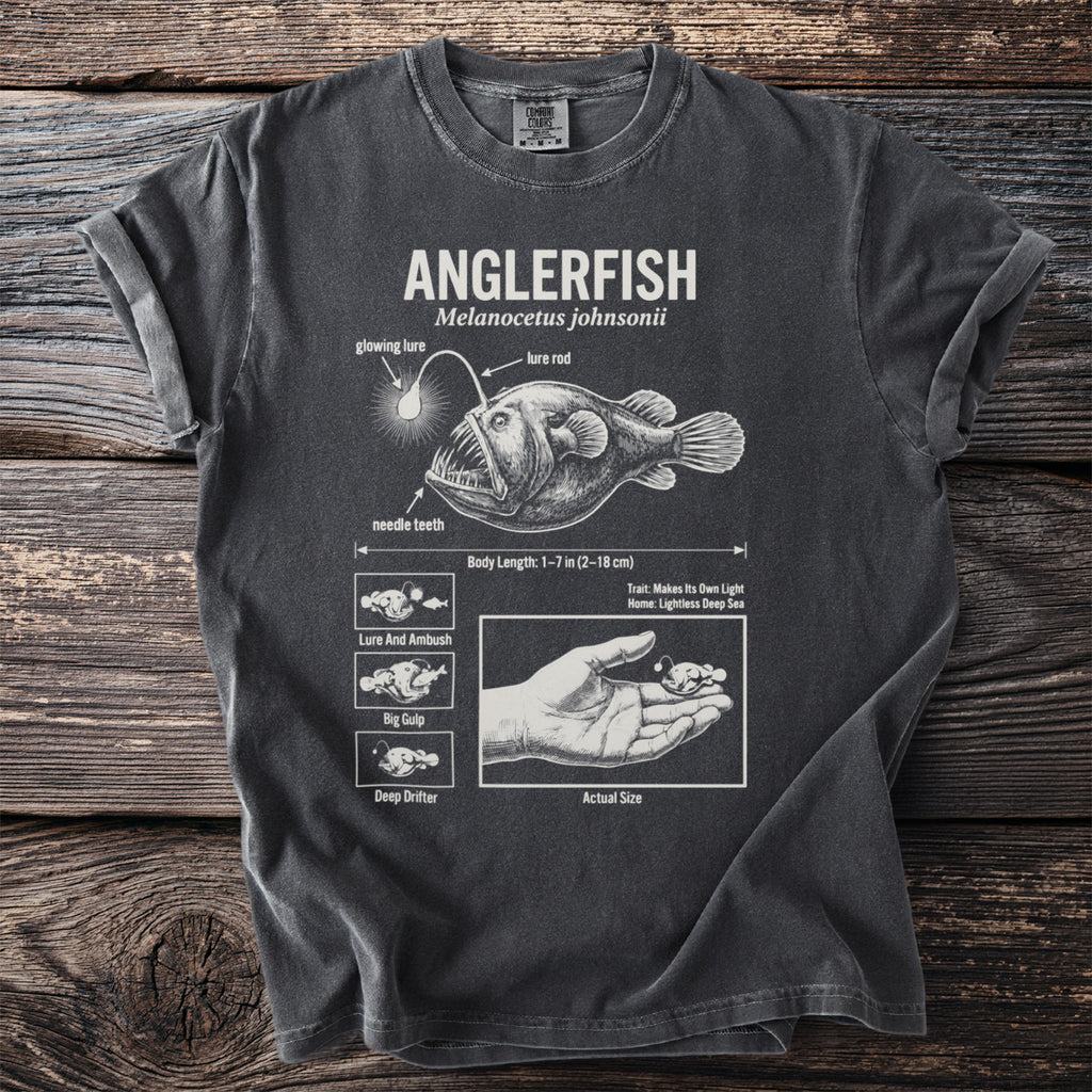 Anglerfish illustration with text detailing its features, length, and hunting habits.