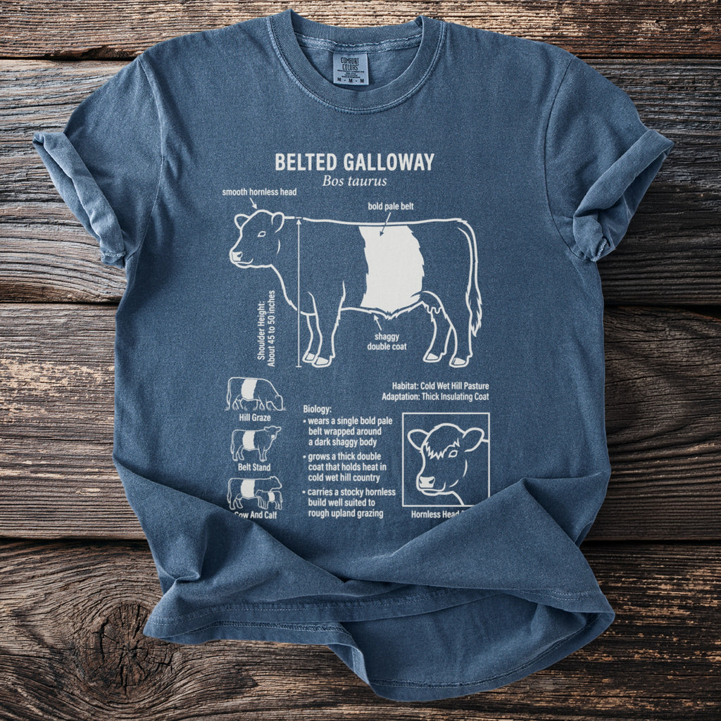 Blue t-shirt with diagram of a belted Galloway cow and text details.