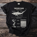 Thresher shark illustration with labeled anatomy, length, and hunting behaviors.