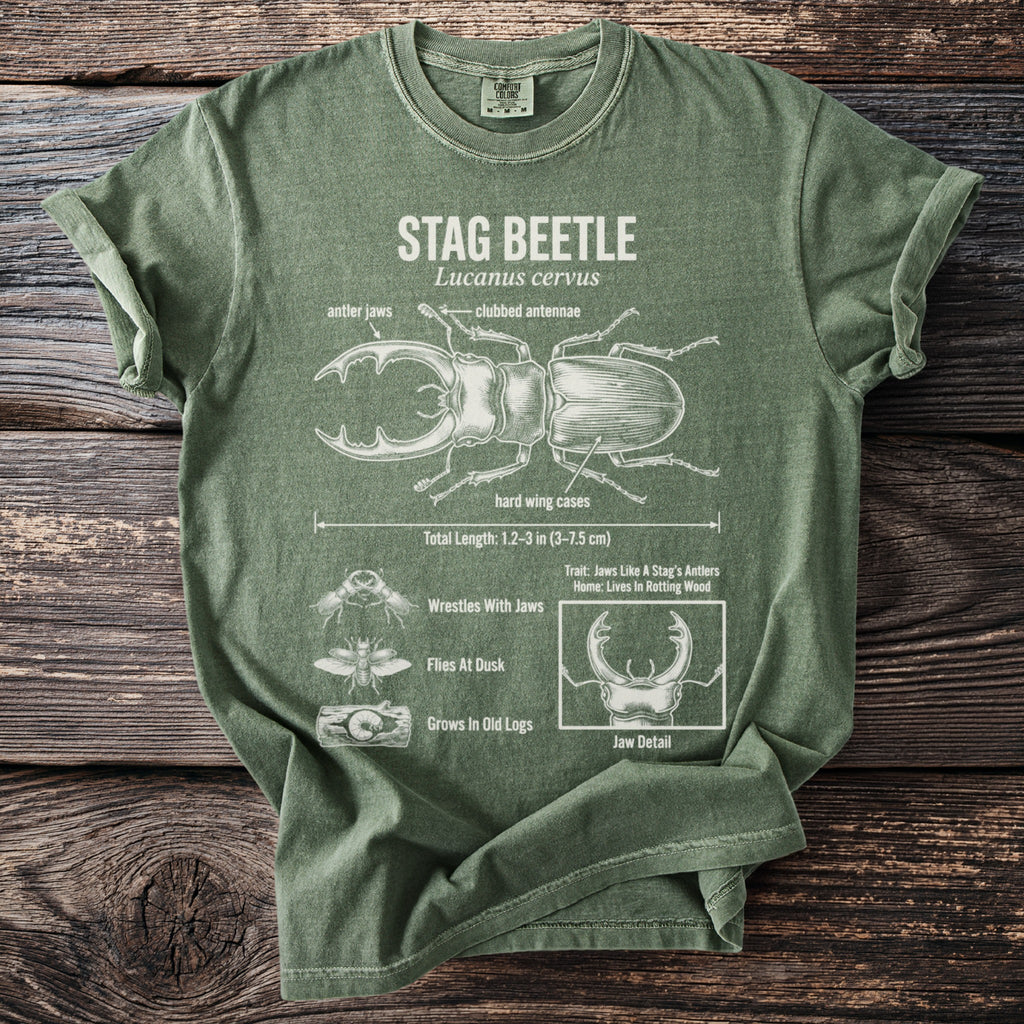Green t-shirt with a white diagram of a stag beetle and scientific facts.