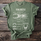 Green t-shirt with a white diagram of a stag beetle and scientific facts.