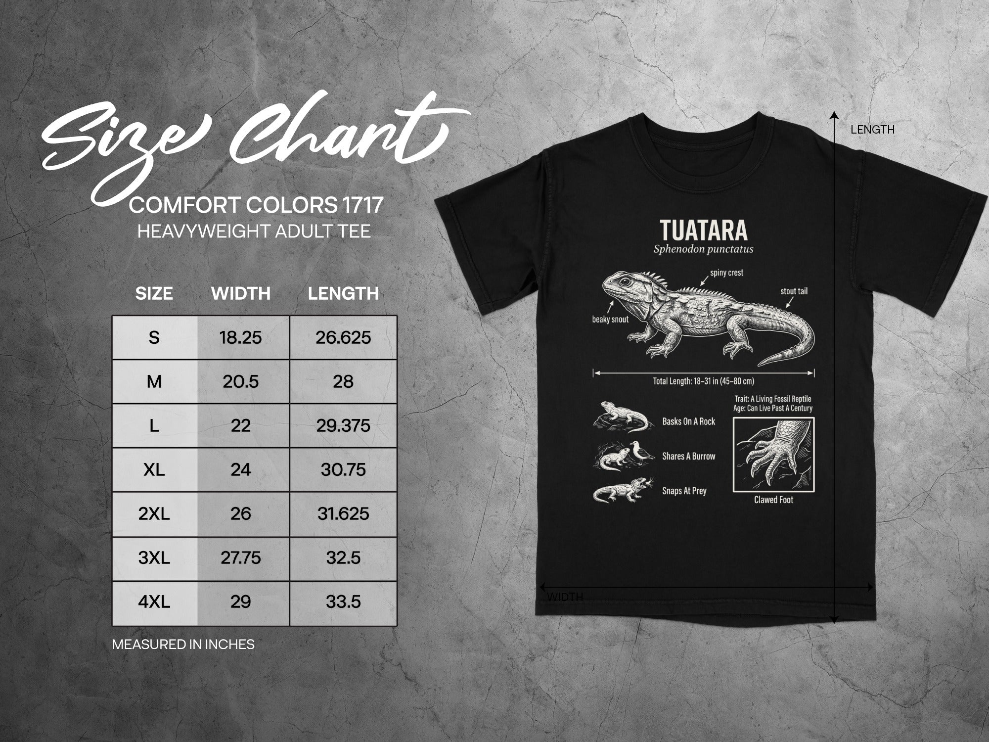 Comfort Colors 1717 garment size chart in inches.