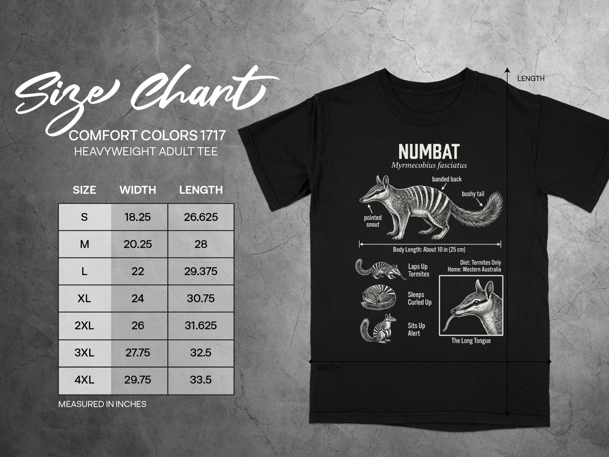 Comfort Colors 1717 heavyweight adult tee size chart with Numbat illustration.